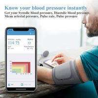 Wellue Blood Pressure Monitor thumbnail